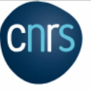 Logo CNRS 300