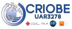 Logo Criobe 300